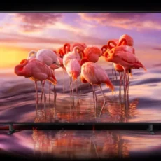 Büyük Çavuşlu 2.El Televizyon Alanlar