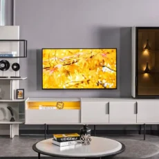 Büyük Sinekli 2.El Televizyon Alanlar