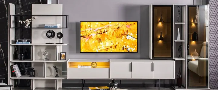 Büyük Sinekli 2.El Televizyon Alanlar Büyük Sinekli 2.El Televizyon Alanlar