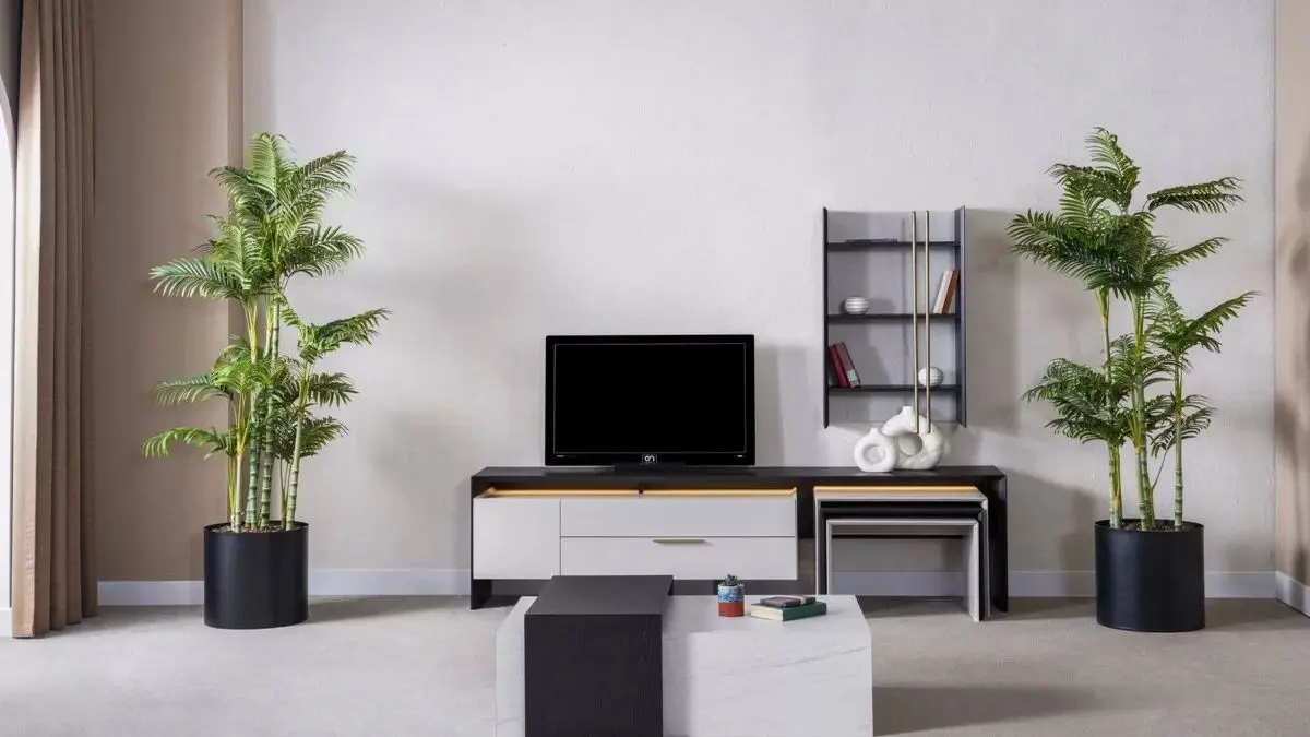 Büyükada 2.El Televizyon Alan Yerler