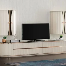 Çanakca 2.El Televizyon Alanlar