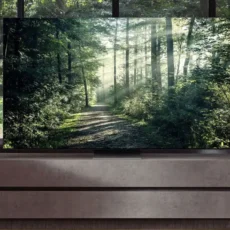 Ergenekon 2.El Televizyon Alanlar