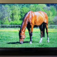 Feyzullah Mahallesi 2.El Televizyon Alanlar