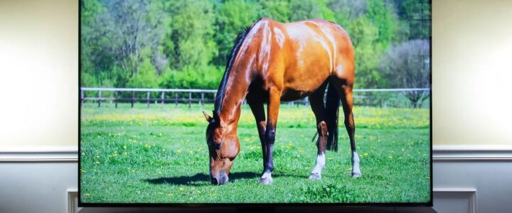 Feyzullah Mahallesi 2.El Televizyon Alanlar Feyzullah Mahallesi 2.El Televizyon Alanlar