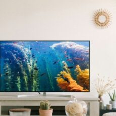 Güzelce 2.El Televizyon Alanlar