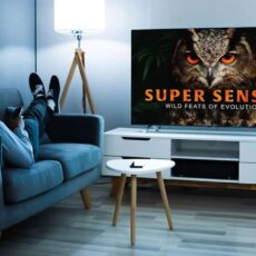 İkitelli 2.El Televizyon Alanlar