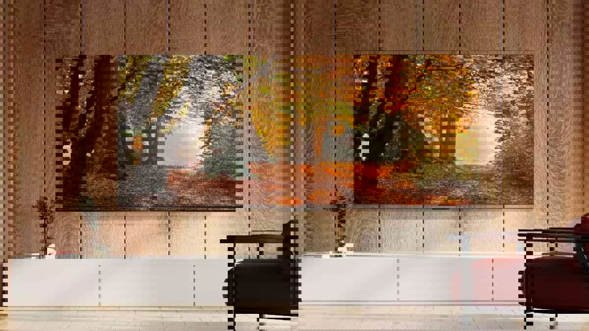 Kefeliköy İkinci El Televizyon Alanlar