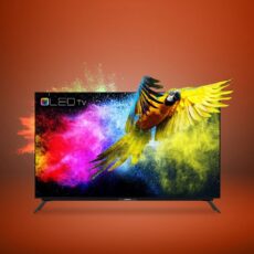 Küçük Sinekli 2.El Televizyon Alanlar