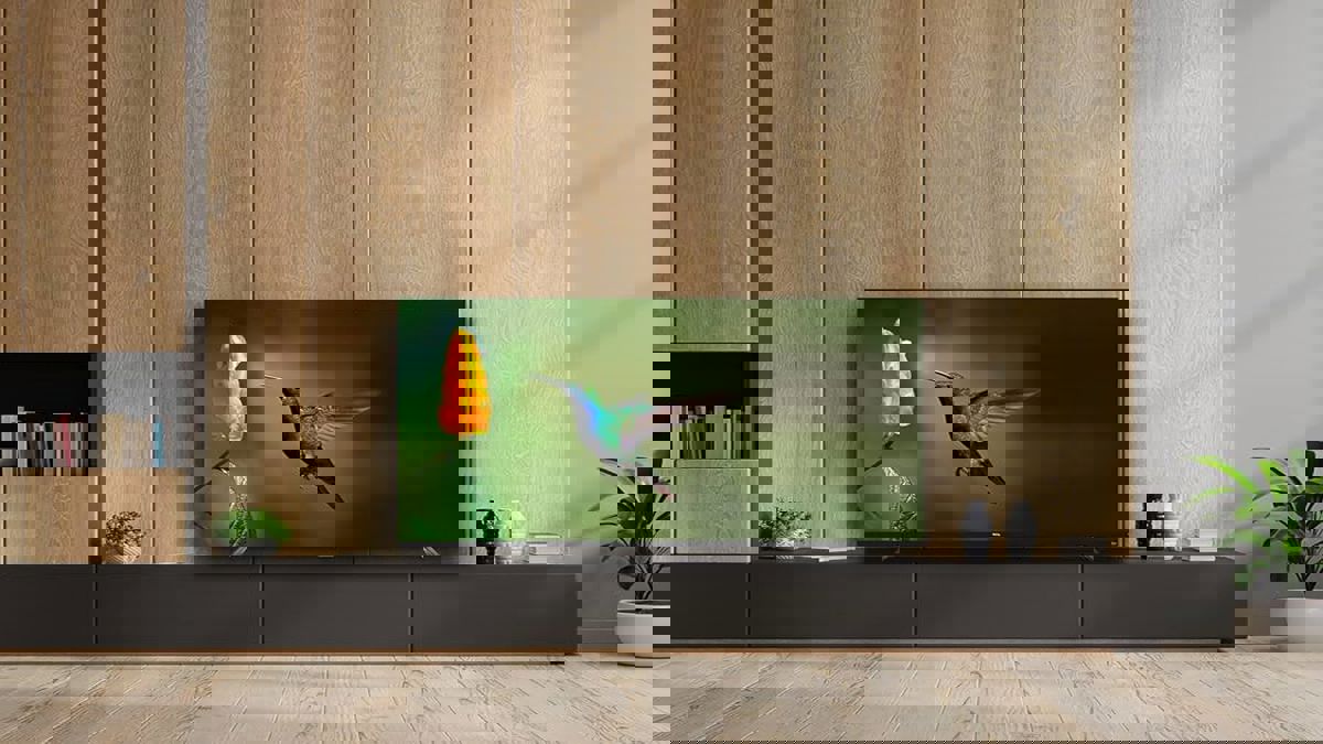 Kumkapı İkinci El Televizyon Alan Yerler