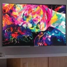 Ortaçeşme 2.El Televizyon Alanlar