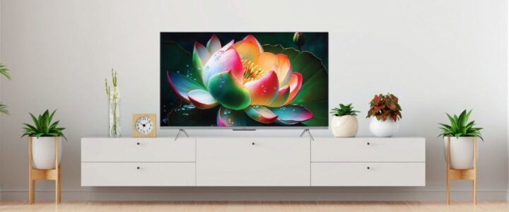 Orhantepe 2.El Televizyon Alanlar