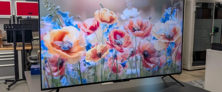 Osmangazi 2.El Televizyon Alanlar