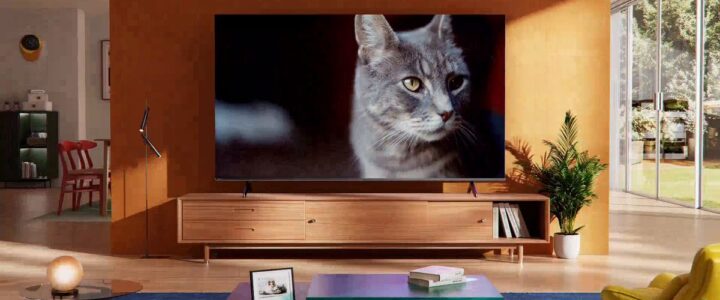 Taşlıtarla 2.El Televizyon Alanlar