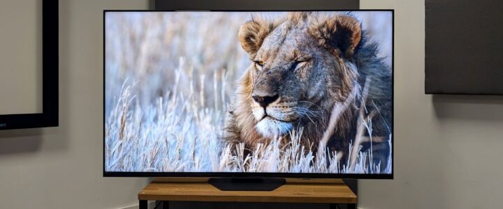 Şamlar 2.El Televizyon Alanlar