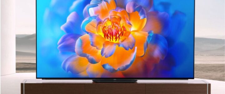 Sapan Bağları 2.El Televizyon Alanlar